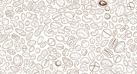 Assortment of Nuts - A Detailed Line Art Illustration.