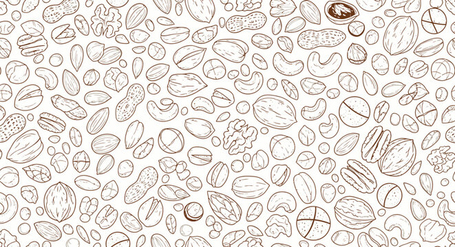 Assortment of Nuts - A Detailed Line Art Illustration.