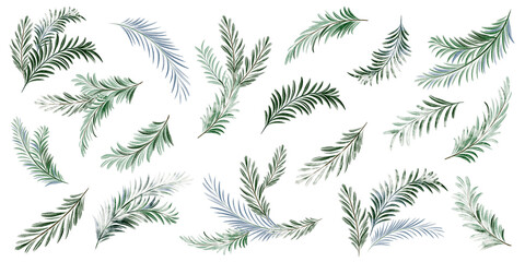 Watercolor fir and pine branches isolated on white background. Botanical clipart for cards, labels, and design. Evergreen conifer elements for winter and Christmas projects.