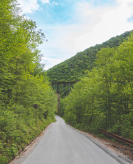 Abstract background with smooth color gradients and soft transitions. Ideal for design, presentations, and digital media.