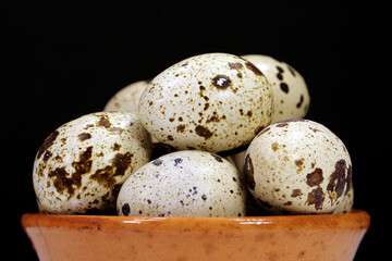 Quail eggs on black background, close-up shot