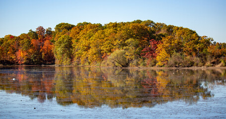 Autumn trees reflected in a river.