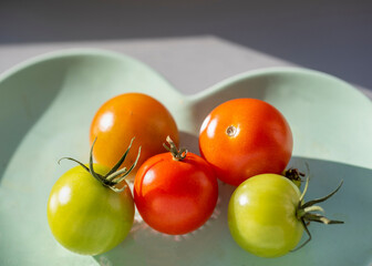 Home grown tomatoes,ripening in the Autumn sun,Worcester,United Kingdom.
