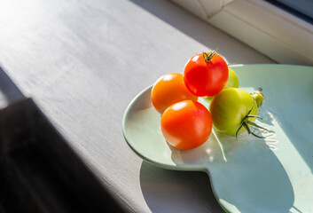 Home grown tomatoes,ripening in the Autumn sun,Worcester,United Kingdom.