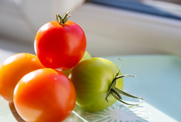 Home grown tomatoes,ripening in the Autumn sun,Worcester,United Kingdom.