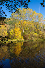 Autumn Landscape of Iskar River, Bulgaria