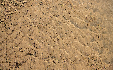 patterns in the dirt