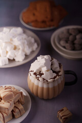a cozy assortment featuring frothy hot chocolate with star-shaped marshmallows, a rich display of caramel sweets, and plates of cookies, creating a warm, indulgent ambiance, photography, artistic