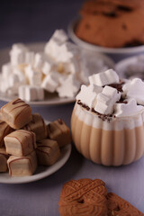 delightful indulgence: a cozy composition of hot chocolate with whipped foam, marshmallows, fudge, and biscuits on elegant plates evoking warmth and sweet harmony, gathering, closeup, indoors