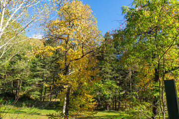 Autumn Landscape of Iskar River, Bulgaria