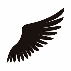 Obraz premium Single black wing with curved feathers against white background, abstract art