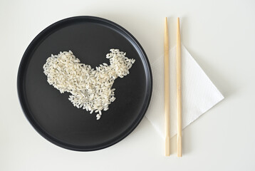 Uncooked white rice grains arranged into a map of China, presented on a minimalist black plate