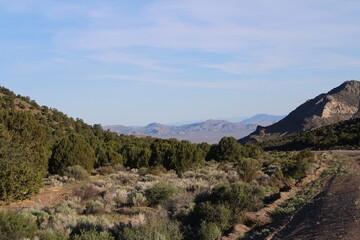 Lincoln County view