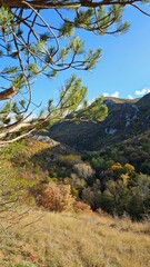 autumn in the mountains
