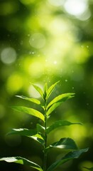 Obraz premium Nature abstract background featuring heavy bokeh effects, sparkling sunlight, and bright, vibrant tones of lush green foliage ,bokeh ,background ,soft focus