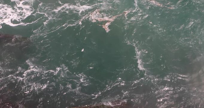 Seagulls hover and dive over churning teal water at the base of Niagara Falls, riding updrafts from the violent current and white mist. A moment of fragile survival over unstoppable force.