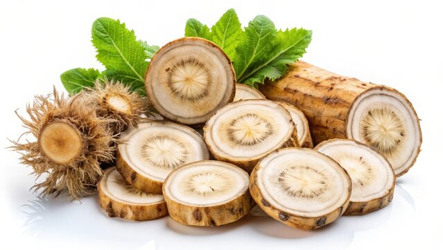 Fresh burdock root slice on white background with some dried herbs
