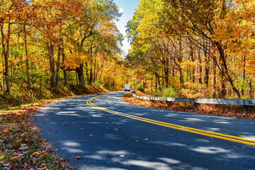 Obraz premium Scenic curved highway through forest in fall season along Blue Ridge Parkway