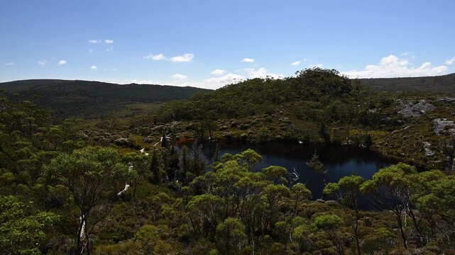 view over lake wombat pool with lush green vegetation of beautiful landscape cradle mountain in Tasmania, a popular travel destination for hiking and other outdoor activities in Australia.