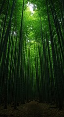 A dense, vibrant green bamboo forest featuring towering stalks creating a lush natural backdrop, emphasizing peaceful serenity and deep color ,green ,wood ,vibrant