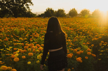 Young woman stands in a field of vibrant marigolds at sunset, bathed in golden light, creating a peaceful and serene autumn atmosphere, perfect for mindful escapes