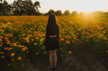 Young woman stands in a field of vibrant marigolds at sunset, bathed in golden light, creating a peaceful and serene autumn atmosphere, perfect for mindful escapes