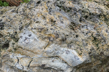 Korallenkalk, Sedimentgestein