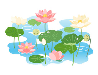 蓮と睡蓮が咲き誇る池をイメージしたイラスト