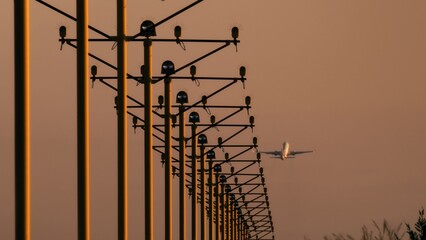 Airplane taking off at sunset near runway lights with golden hues in the sky