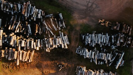Logs stacked neatly in a lumber yard during golden hour in a rural area of the countryside