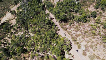 Scenic road winding through the lush green forest in the countryside during a sunny day