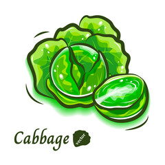 たわわに葉を広げるキャベツと,その切り口｜ポップでみずみずしい野菜イラスト