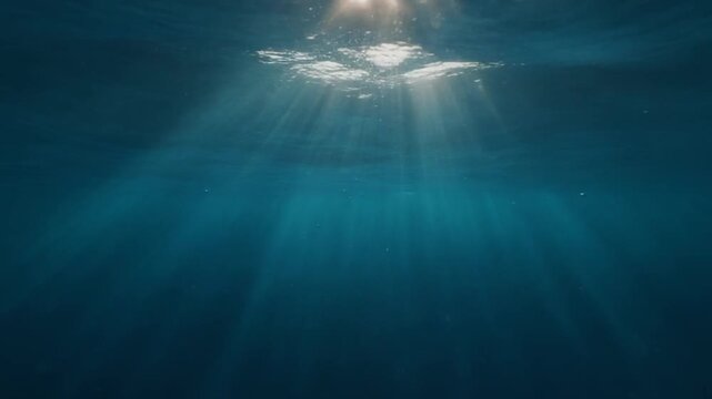 海の中