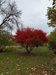 October colours in Quebec, Canada