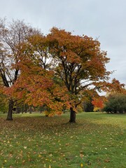 October colours in Quebec, Canada