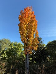 October colours in Quebec, Canada