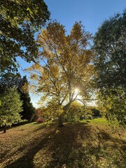 October colours in Quebec, Canada