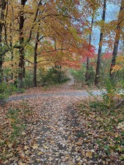 October colours in Quebec, Canada