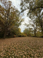 October colours in Quebec, Canada