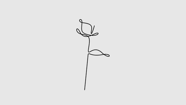 Self animated continuous one line drawing of rose flower. Full length single line art 4K animation