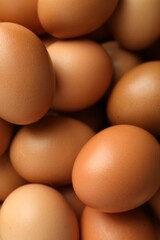 Many raw chicken eggs as background, closeup