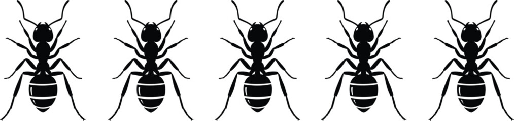 Row of black ant vector silhouettes isolated on white background, detailed insect illustration for nature, pest control, wildlife, and biology design
