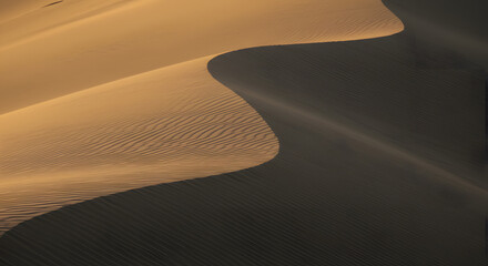 Close up of a desert dune with sand ripples and shadows.