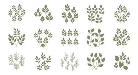 Botanical Collection of Green Leaves Isolated on White