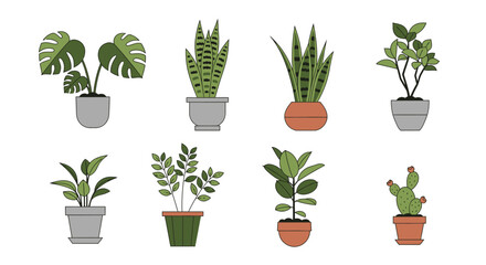 Fototapeta premium Assorted houseplants in pots graphic design element illustration