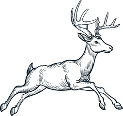 Vintage hand drawn sketch of running deer