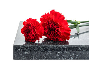Two vibrant red carnations rest on a polished grey stone surface against a black background