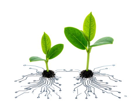 Two young plants with roots resembling circuit boards, against a dark background