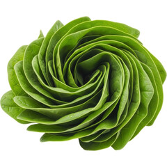Fototapeta premium Vibrant green spinach leaves forming an elegant spiral design, perfect for healthy recipes.