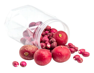 Transparent plastic bin spilling bright red, round radishes with green stems onto a black surface